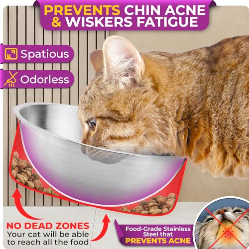 Raised cat Bowls for Indoor Cats by WinTruffles, Elevated cat Bowls, Tilted and Elevated Anti Vomiting Cat Dishes for Food and Water, Set of 2 Stainless Steel Bowl - color: 2 bowls