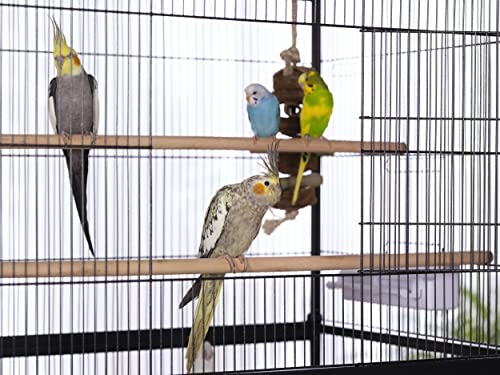 Prevue Pet Products Steel Bird Flight Cage with Wheels - Black, Large | Large Birdcage for Parakeets, Canaries, Finches, Cockatiels, Lovebirds, & Green Cheeks, Metal Standing Birdcage - color: Black