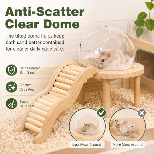 Hamster Sand Bath Container with Clear Dome, Anti-Scatter Dust Box for Dwarf Hamsters, Syrian Hamsters & Gerbils, Easy-Entry Small Pet House (Small) | Sand bath for hamsters, anti-scatter clear dome, curved ladder, scoop included for dwarf, Syrian hamster