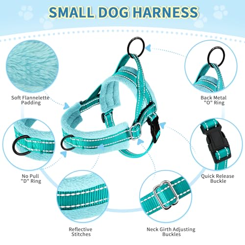 SlowTon No Pull Small Dog Harness and Leash Set with Front Clip | Soft Padded, Neck & Chest Adjustable, Lightweight, Anti-Twist, Puppy Vest Harness Pet Lead Combo for Small Medium Dog, TL XXS - color: Teal, size: XX-Small