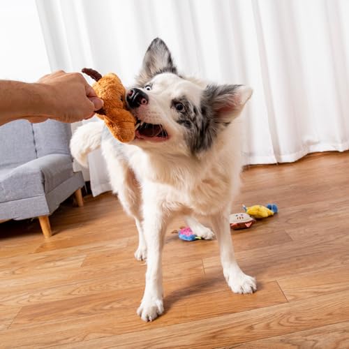 DODODOLA Stuffed Dog Toys Cute Sweeet with Crinkle Paper for Medium Large Dogs Puppy - color: Colorful Sweet