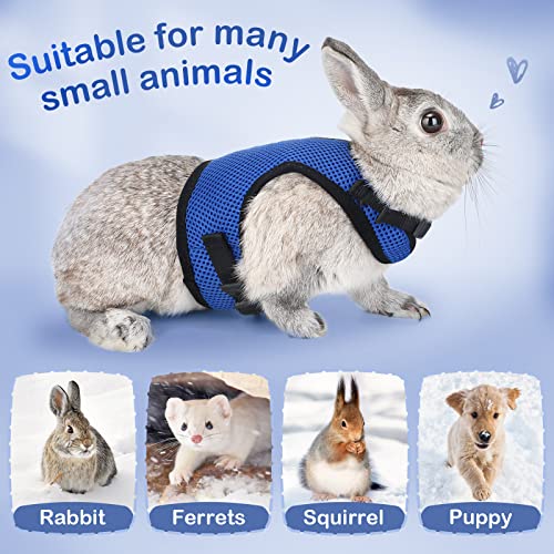 PETTOM Bunny Rabbit Harness with Stretchy Leash Cute Adjustable Buckle Breathable Mesh Vest for Kitten Small Pets Walking (Blue,XL) - color: Blue, size: XL(Chest:12.5-15.7 in)