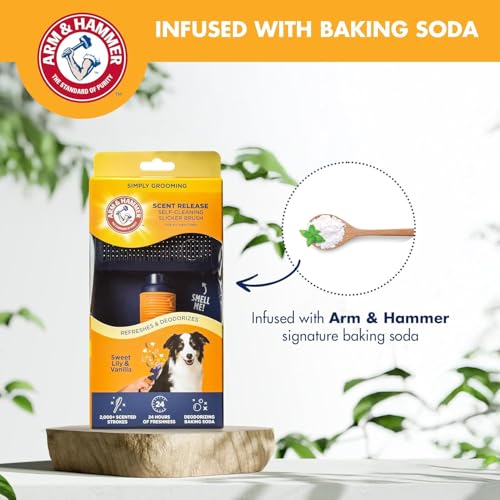 Arm & Hammer Deodorizing Slicker Dog Brush, Sweet Lily & Vanilla, 2-Pack | Fragrance transfer technology, baking soda infused, self-cleaning button, removes loose fur and tangles - size: 2-Pack, style: Slicker Brush - Sweet Lily & Vanilla
