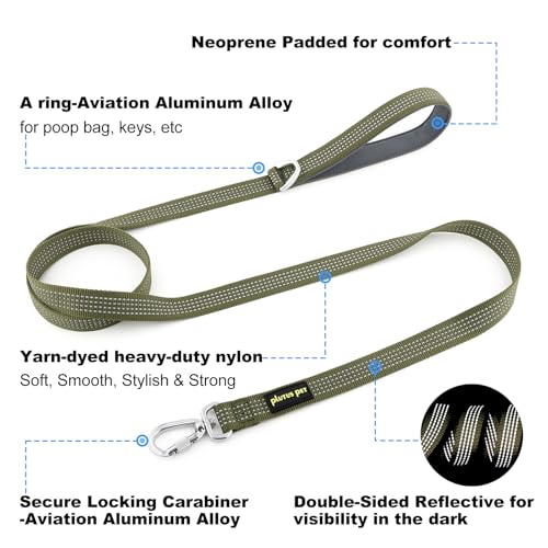 Plutus Pet Heavy Duty Dog Leash with Lockable Aluminum Carabiner, 4 FT Long | Double-Sided Reflective Nylon, Padded Handle, Heavy Duty, for Puppy Small Medium and Large Dogs (Ranger Green, 1" x 4') - color: Ranger Green, size: 1" x 4'