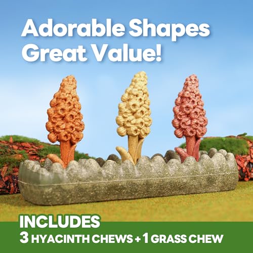 TEEWY 4PCS Guinea Pig Chew Toys, Prevent Teeth Overgrowth, Natural Timothy Grass & Vegetables, Hamster Toys, Guinea Pig Toys, Chinchilla Toys, Grass Patch & Hyacinth - style: 4PCS-Grass Patch & Hyacinth