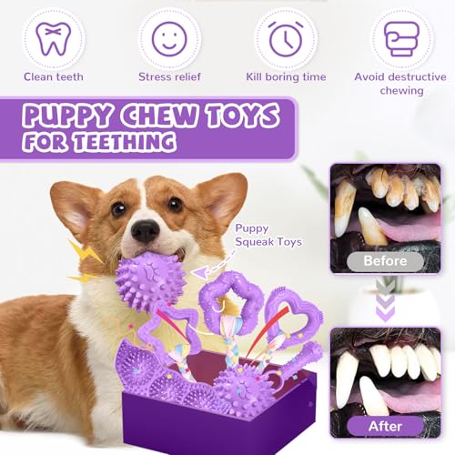 ABRRLO 6 Pack Puppy Teething Toys Cute Purple Puppy Chew Toys for Teething Small Breed Dog Chew Toy Interactive Pet Toy Set for Puppies to Keep Them Busy Soft Durable Small Breed Doggy Chewing Ball - color: Purple