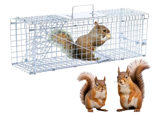 Timaze 24" Folding Live Animal Trap | Foldable humane animal trap,suitable for stray cats,squirrels and rabbits weighing up to 5.5 pounds