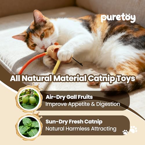 Cat Chew Ropes with Catnip Mouse, 3Pcs Cat Chew Toys for Large Cats Enrichment, 3-in-1 Catnip Toys Mouse & Strong Braided Ropes & Gall Fruits, Cats Teething Toys - color: Ropes