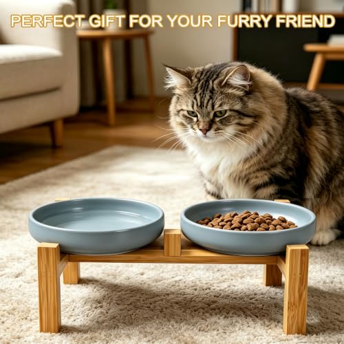 Shallow Elevated Cat Bowls with Bamboo Stand, 6.1 Inch Wide Ceramic Cat Dish Whisker Friendly, 2 Pack Pet Food and Water Plates - color: Grey elevated