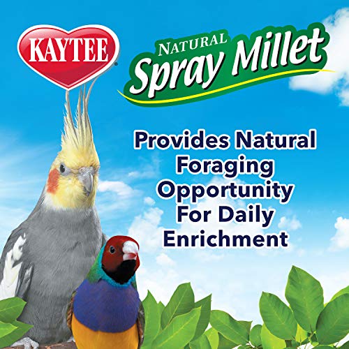 Kaytee Spray Millet Treat for Pet Birds, 7 Ounce - size: 7 Ounce (Pack of 1)