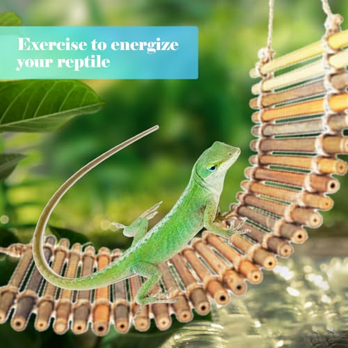 kathson Reptile Bridge for Terrarium,Bearded Dragon Wooden Bridges Gecko Hammock with Hanging Plants Lizard Lounger Bamboo Ladder Reptiles Tank Accessories Climbing for Chameleons Geckos Snakes (3Pcs) - size: Large