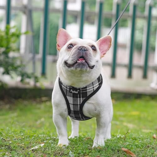 PUPTECK Soft Mesh Dog Harness and Leash Set Pet Puppy Cat Comfort Padded Vest No Pull Harnesses, Black&White, S - color: Black&White, size: S (NECK: 12", CHEST: 14"-18")