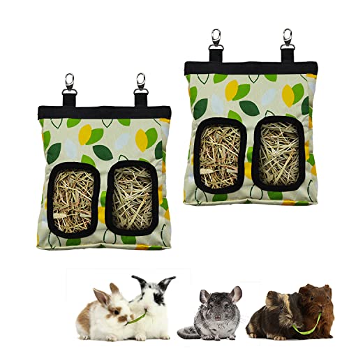 RIOUSSI Guinea Pig Hay Feeder, Hanging Rabbit Hay Feeder Bag. Greenleaf,2Ct | Upgraded Double Layer Fabric | Bite Resistant | Cleaner Hay & Less Mess | Small Animal Hay Holder for Bunnies & Chinchillas - color: GreenleavesX2