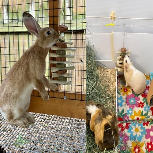 kathson 4 Pcs Bunny Chew Toys for Teeth,Rabbit Hanging Chew Toy Grinding Natural Sweet Bamboo Sticks with Timothy Hay Grass and Carrot Cake for Improve Rodent Small Animals Dental Health