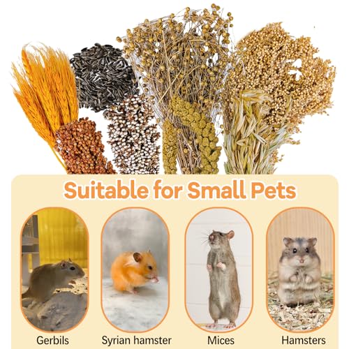 Natural Hamster Flower & Herb Habitat Deocr, Hamster Sprays Herbs Bedding Mate, Hamsters Cage Enrichment Decoration Accessories for Gerbil Dwarf Syrian Hamsters Guinea Pig Mice or Small Animals
