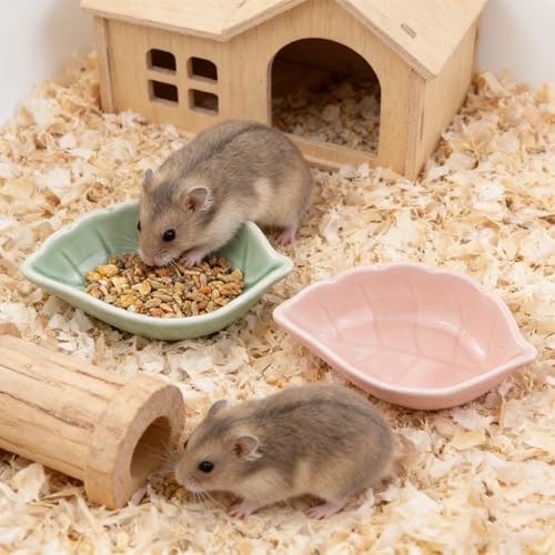 Small Ceramic Bowls, Leaf-Shaped Hamster Food and Water Bowl for Hamsters Guinea Pigs Reptile Hermit Crab and Birds, Easy to Clean & Anti-Bite (Green)