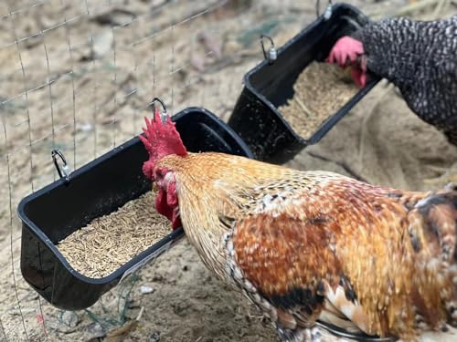 Terminalia Hanging Chicken Feeder Duck Waterer, 2.6 Quart Medium Capacity, No Spill Poultry Feeder Waterer for Backyard Chicken Duck - color: 2Green