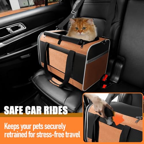 GAPZER Large Cat Carrier Soft, Collapsible Travel Pet Carry Bag, Small Dogs | Large Kitty Cat 20 lbs Maine Coon, Top Load Transport Small Puppy Dog Kennel, Yorkie Little Dog 10lbs, Sturdy Fabric Orange - color: Orange