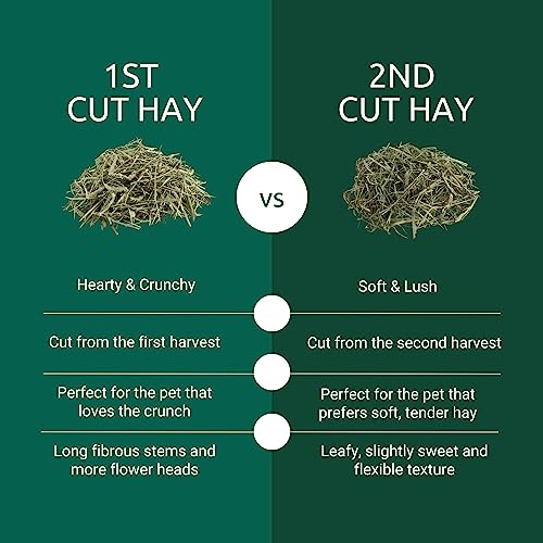 Kaytee 2nd Cut Soft and Lush Timothy Hay for Pet Guinea Pigs, Rabbits & Other Small Animals, 6.5 Pound - style: 2nd Cut Hay