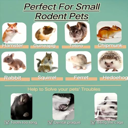Apple Wood Sticks for Chinchilla,Chew Toys and Treats for Rabbit | Natural Chew Toys For Guinea Pig Hamster Gerbil Rabbit, Chew Toys for Teeth (Thin 600g-21oz) - style: Thin-21oz
