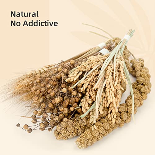 Niteangel Natural & Soft Hamster Bedding Mate Small Animal Habitat Decor for Syrian Dwarf Hamsters Gerbils Mice Degus Bunny or Other Small-Sized Pet - size: Harvest Version