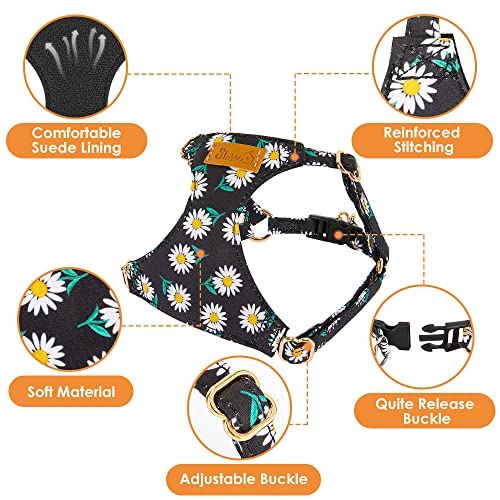 Lukovee Puppy Harness and Leash Set, No Pull, Lightweight Step in Vest | Adjustable, Soft Suede Vest, Easy Put on and off Pet Harness with Snap Buckle & 51in Leash for Small Medium Dogs (Black, XXS) - color: ·Black Daisy, size: XX-Small ( 2.2-6lb )