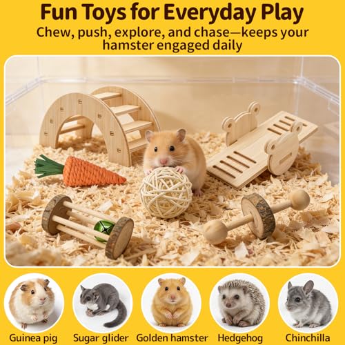 Hamster Cage Accessories Set ，Silent Exercise Wheel, Maze Wooden Hideout, Water Bottle with Holder, Chew Toys & Interactive Platform for Hamsters, Mice, Gerbils (All-in-One Habitat Enrichment Kit)