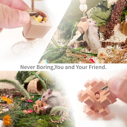 13 PCs Hamster Toys for Hamster, Gerbils, Mice, Rats, and Other Small Animals - Natural Molar Chew & Play Toys to Induce Teeth Grinding, Reduce Boredom and Depression - style: Style-C