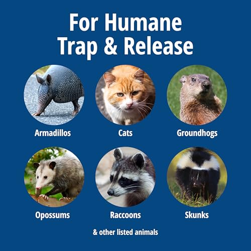 Havahart Large 1-Door Live Animal Trap for Raccoons, Cats, Bobcats, Beavers | Heavy Duty Humane Catch and Release Cage Trap for Outdoor Pest Control, 1079SR