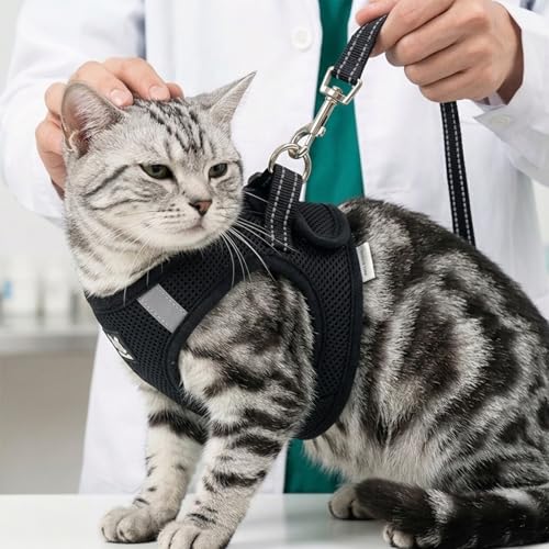 Cat Harness and Leash Escape Proof, Soft Breathable Mesh Kitty Walking Vest, Adjustable Step-in Kitten Harness Set with Reflective Strip for Small Cats - color: Black, size: Large
