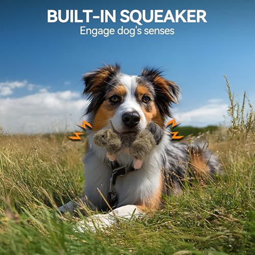 ALL FOR PAWS Squeaky Dog Toys, Plush Squirrel Dog Toy, Stuffed Animal Dog Toys for Small Medium Large Dogs, Soft Puppy Chew Toy with Squeaker - color: Squirrel(S)