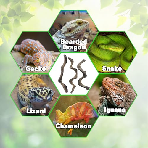 Reptile Decor 3PCS Natural Forest Branch Terrarium Habitat Decoration Lizard Climbing Tree Branch for Bearded Dragon Gecko Snake Frog Chameleon Spider