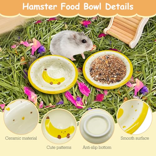 kathson Hamster Ceramic Food Bowl Small Animal Bowls with Banana Pattern for Cage Guinea Pig Anti-Turning Food and Water Dish Pet Feeder for Gerbil Hedgehog 2PCS