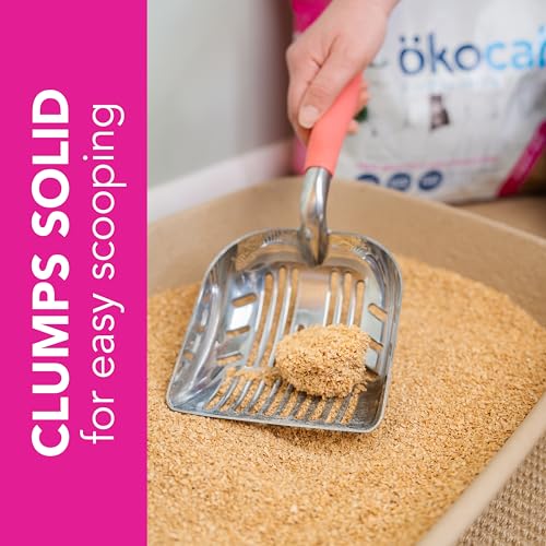 ökocat Super Soft Natural Wood Clumping Cat Litter, Odor Control, 22 Lbs - size: 22 lbs, style: Super Soft