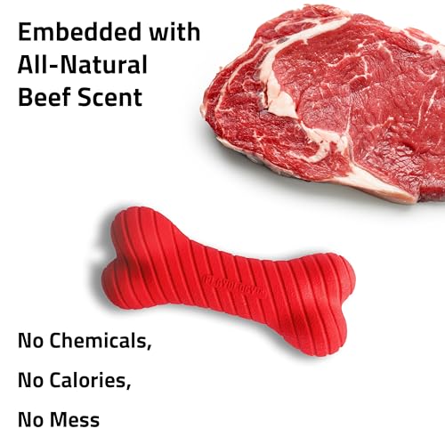 Playology Dual Layer Bone Dog Chew Toy - Jumbo, Beef Scent | Rubber Construction, All Natural Scent, Heavy Duty Design - size: Jumbo, style: Beef