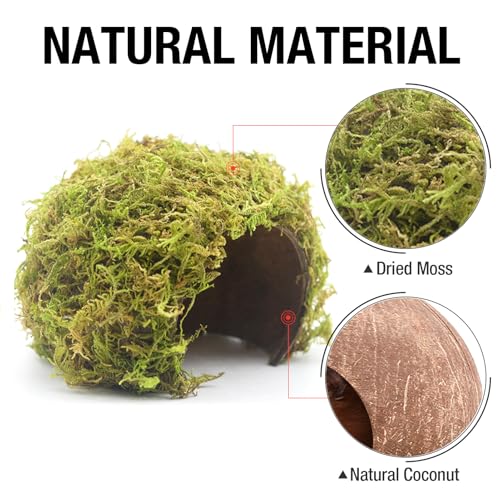 Hamster Hideout - Large, Natural Moss, Handcrafted for Syrian Hamsters, Rats & Guinea Pigs, Safe & Eco-Friendly - size: Cave, Large
