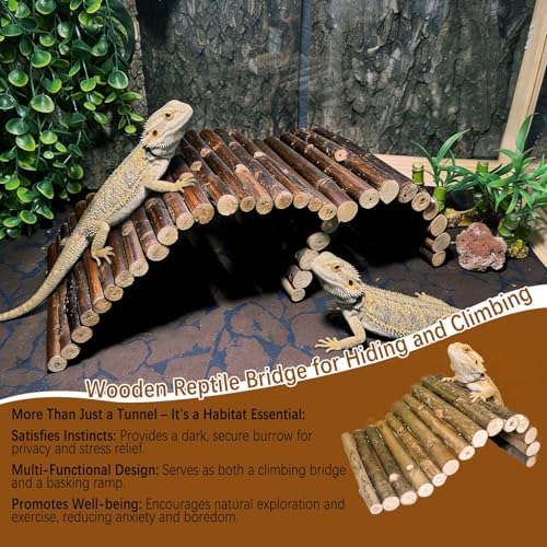 BNOSDM 2PCS Reptile Hideout Wooden Bridge 7.5"x13.4" Lizard Hide Caves Bearded Dragon Habitat Accessories for Gecko Snake Frog Chameleon Iguana Tortoise