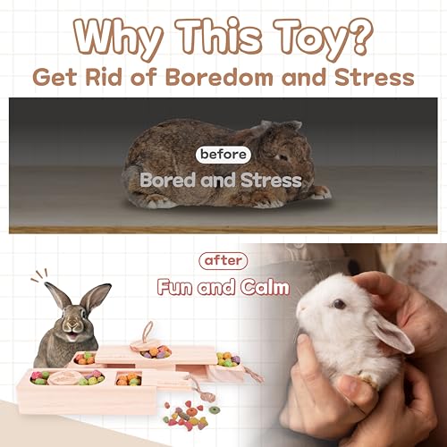 SoulThink® Advanced Interactive Wooden Pet Rabbit Toys - Sniff n' Snack Bunny Chew Toys for Rabbit Treats, Suited for Chinchilla Foraging, Guinea Pigs Boredom, and Hamster Enrichment (2 Set) - style: Sniff n' Snack - Advanced