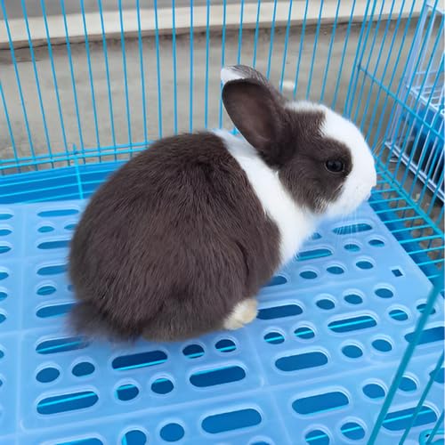 18 Pack Rabbit Cage Mats - 13x10 Inch Plastic Rabbit Floor Mat with Snap Joint - Small Animal Feet Pads Floor Mat for Pet Cats Dogs Bunny Chinchilla Guinea Pig