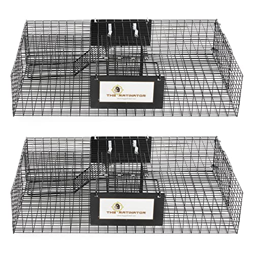 Rugged Ranch Ratinator Large Dual Door Live Rat & Mouse Trap Cage, 2-Pack | Humane Multi-Catch Rodent Control for Indoor or Outdoor Use, Reusable Catch and Release Wire Metal Cage for Rats and Mice - color: Rat, size: 2 Pack