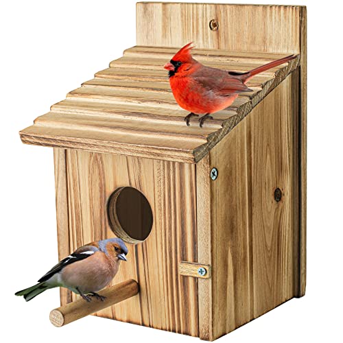 Wooden Bird House for Outside, Hanging Natural Wood Birdhouse with Perch, 1.57" Entrance & Side Clean-Out Door for Bluebirds, Wrens and Finches, Garden Decor