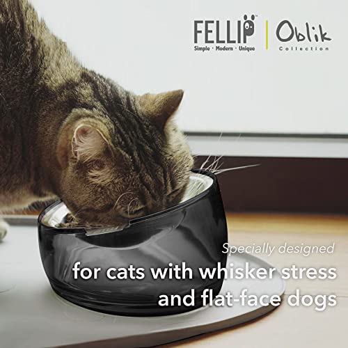 Felli Oblik Elevated Cat Bowl Removable Stainless Steel Wide Dish for Dry Wet Food Feeding & Dishwasher Clean, Slanted Whisker Fatigue Friendly Metal Plate (Smoky, 0.5 Cups Shallow Dish) - color: Smoky, size: 0.5 Cups Shallow Dish