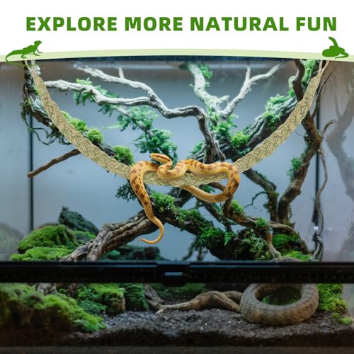Snake Climbing Rope,Snakes Ladders Toys, Snake Enrichment Supplies, Small Reptile Tank Accessories, Reptile Climbing Toys for Ball Python Corn Hermit Crab Lizards Geckos (Green) - color: Green