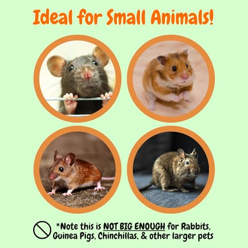 Exotic Nutrition Seagrass Exploration Tunnel - Fun & Unique Toy for Hamsters, Gerbils, Rabbits, Guinea Pigs, Prairie Dogs, Chinchillas, Degus, Squirrels, Rats and Other Chewing Small Animals.