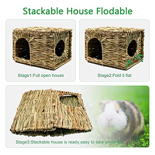 BWOGUE Large Guinea Pig Grass House, Guinea Pig Hideout, Foldable Straw Hut | Hand-Woven Straw for Gnawing, Double Openings for Guinea Pig Tunnel Play, Resting Bed, Bunnies, Chinchillas & Ferrets - size: 1 PACK