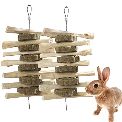 kathson Guinea Pig Treats Hanging Bunny Chew Toys for Teeth Grinding, Organic Bamboo Sticks Natural Rabbit Enrichment Toys for Small Animals Hamster Chinchilla 2 Pack - size: 2 Count (Pack of 1)