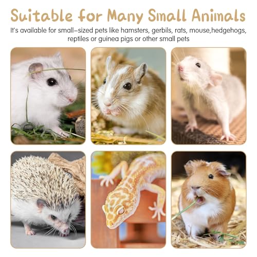 Hamiledyi Natural Wood Hamster Bridge, Bendable Climbing Ladder Small Animal Cage Accessories for Dwarf Hamster, Gerbils, Mice, Sugar Glider (15.7×5.9 in) - size: 15.7" × 5.9" (1 pcs)