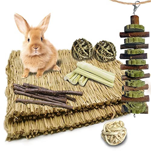 Bunny Grass Bed Mat 18Pcs Rabbit Chew Toys Set Hand-Made Woven Hay Mat | Wood&Bamboo Sticks and Timothy Grass Cake&Ball,Small Animals Teeth Grinding Chew Treat Toy for Guinea Pig - size: 18PCS Bunny Chew Toys