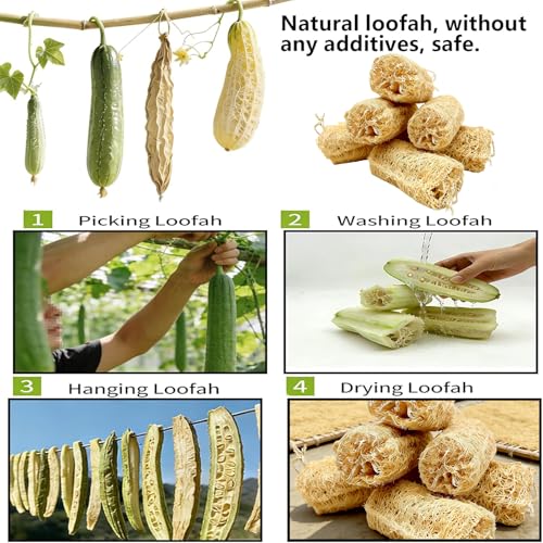 6Pcs Rabbit Chew Toys Loofah Guinea Pig Treats Bunny Enrichment Toys | Natural,with Rope,for Chinchillas Guinea Pig,Rabbit Toys for Bunnies Boredom,rabbit chew toys for teeth,bunny chew toys - size: 6PCS With a Rope