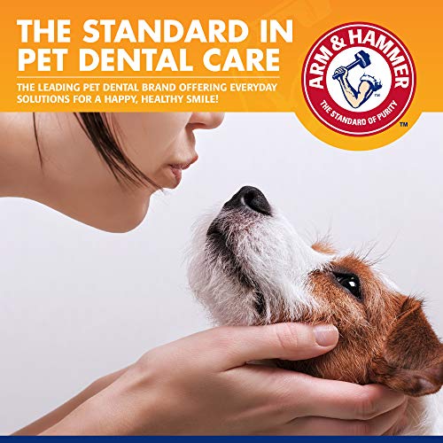 Arm & Hammer Tartar Control Dog Dental Kit, Beef Flavor, 3-Piece, 48-Pack | Enzymatic toothpaste with toothbrush and fingerbrush, baking soda formula safe for puppies - size: 2.5 Ounce (Pack of 48)